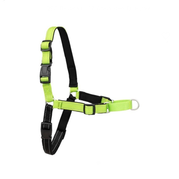 NEW - PetSafe Deluxe Easy Walk Nylon Reflective No Pull Dog Harness - Picture 2 of 9